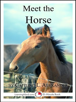 cover image of Meet the Horse